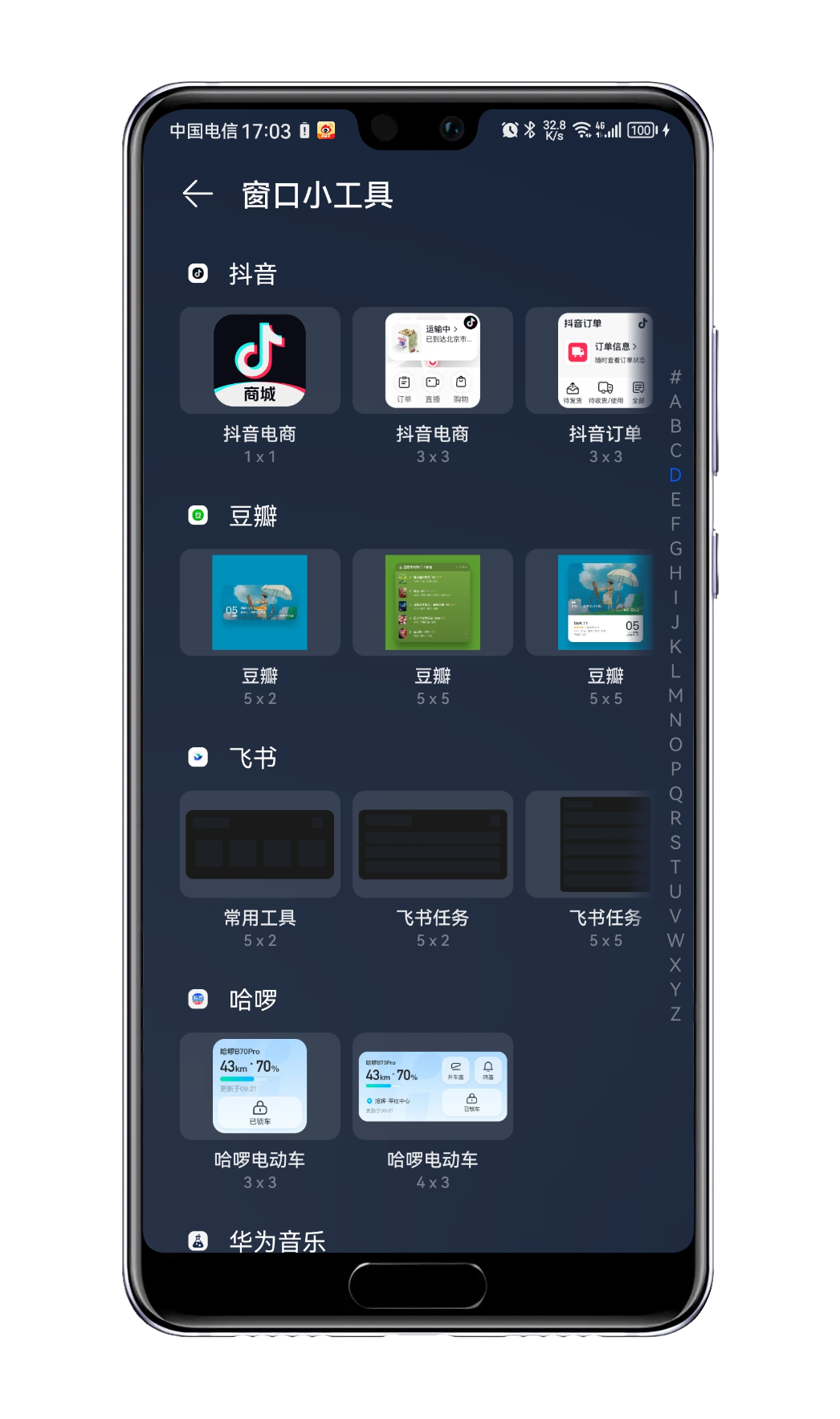 豆瓣的 Widget 没有配置名称